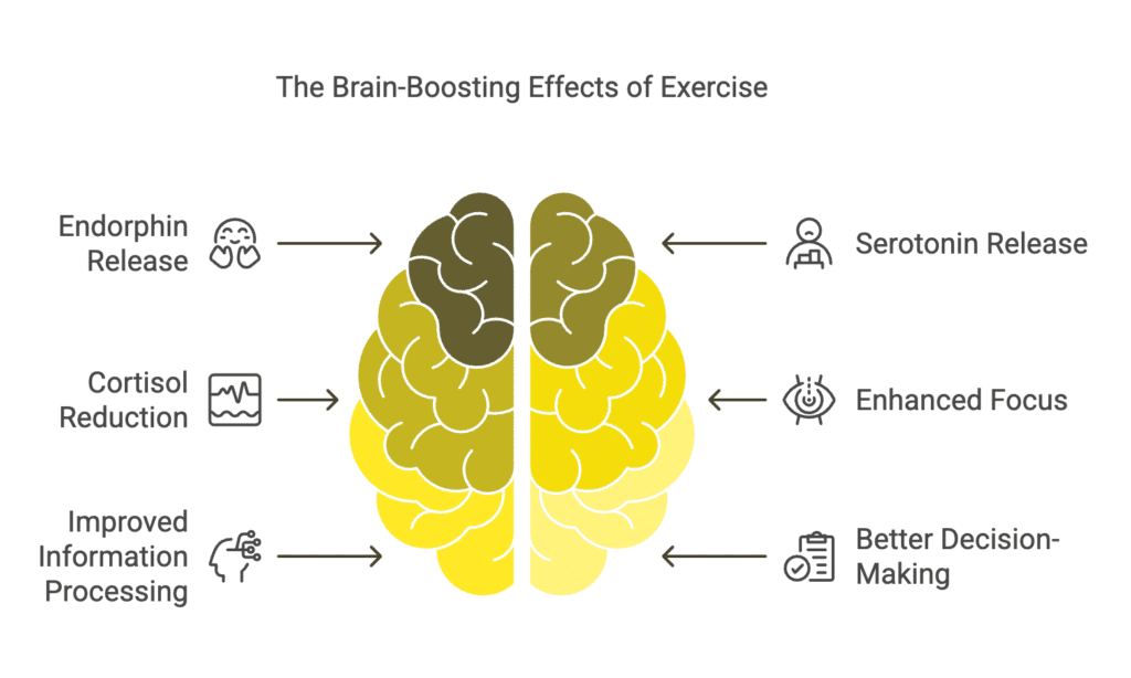 Brain boosting effects of exercise at MODE Gym