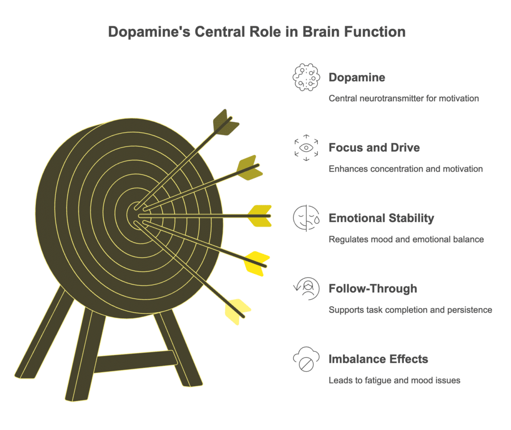 Dopamine's Central Role in Brain Function Get In MODE Chicago, Illinois